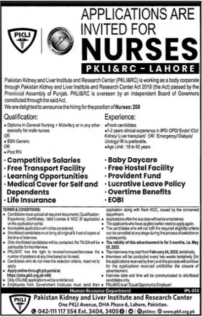 PKLI Nurses Jobs 2025