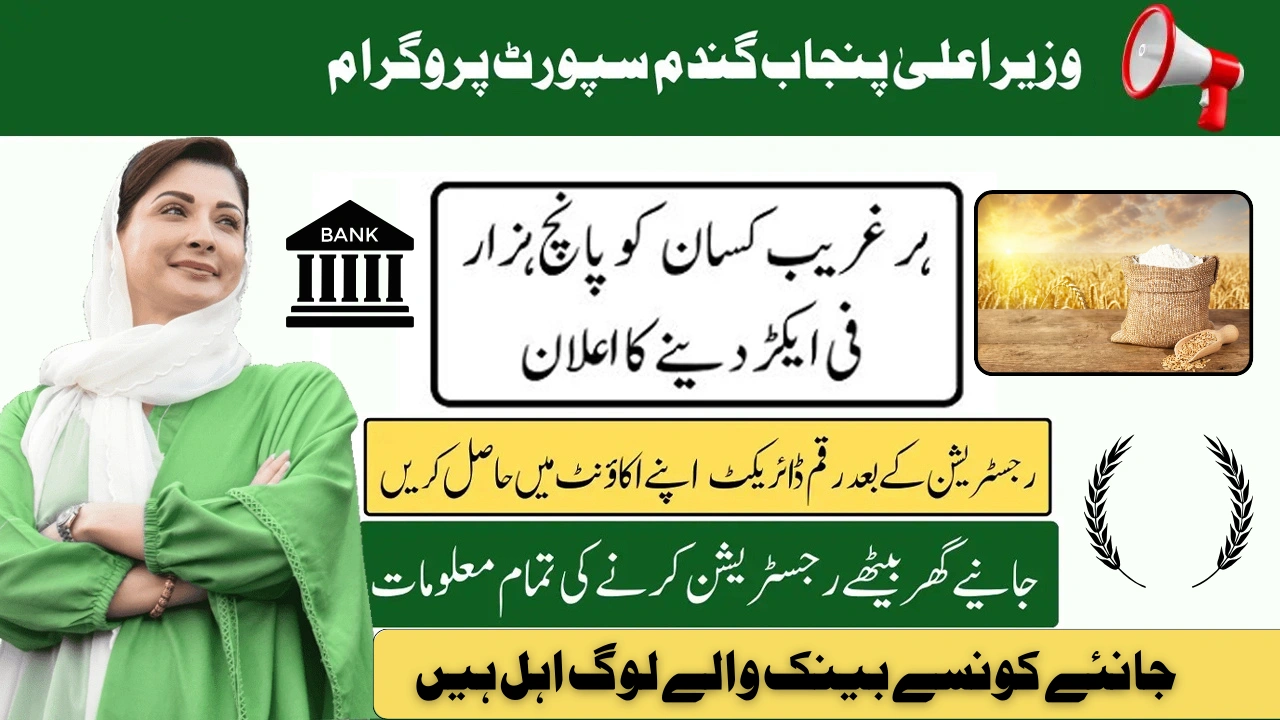 How to Apply for CM Punjab Wheat Support Program 2025 Advertisement