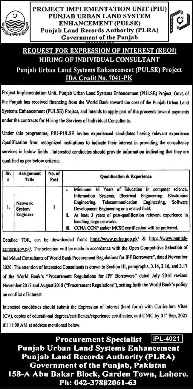 Punjab Land Record Authority Jobs 2025 Today Advertisement