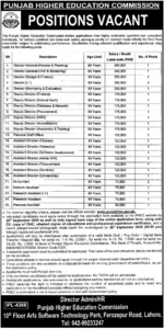 PHEC Jobs 2025 Advertisement