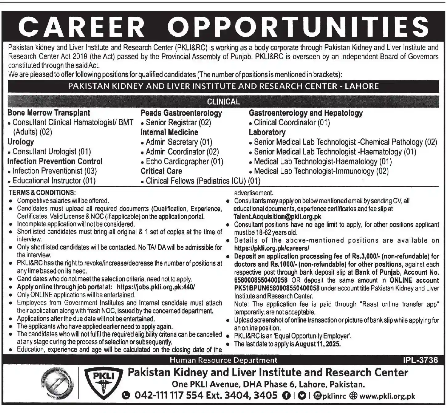 PKLI Lahore Jobs 2025 Today Advertisement