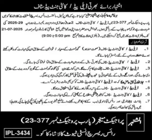 Rice Research Institute Kala Shah Kaku Jobs 2025 Advertisement