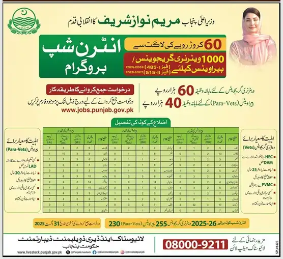CM Punjab Internship 2025 Advertisement