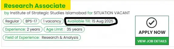 ISSI Research Associate Jobs 2025 Advertisement