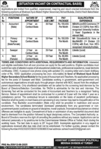 Shaheed Ayub Buledi School Jobs 2025 Advertisement