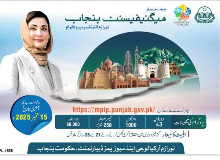 CM Punjab Internship Program