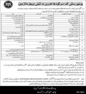 University of Sargodha Government Jobs 2026 Advertisement